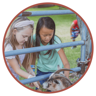 Girls feeding animals outside at summer camp in Lake Geneva Wisconsin